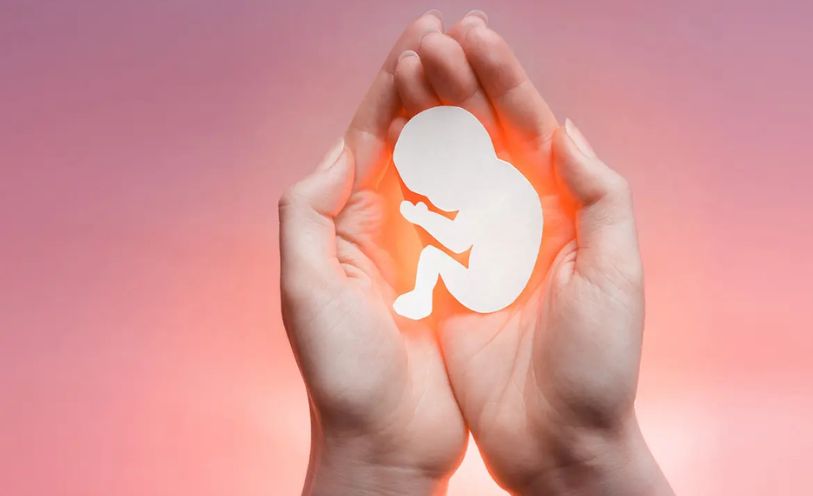 pregnancy after miscarriage